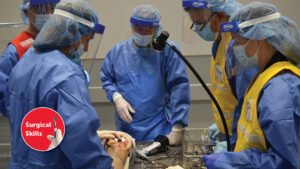 advanced knee surgery techniques course