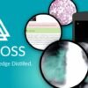 amboss qbank unlimited subscription