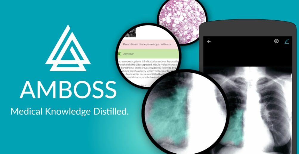 amboss qbank unlimited subscription