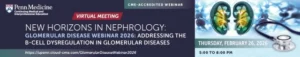 B-cell targeting in glomerular disease