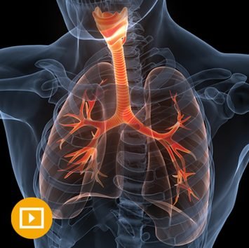 Brigham Pulmonary Board Review 2022