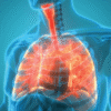 Brigham Pulmonary Board Review 2025