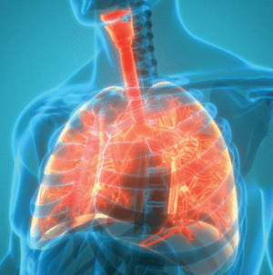 Brigham Pulmonary Board Review 2025