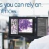 expertpath pathology decision support