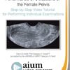 female pelvis ultrasound guideline