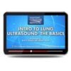 lung ultrasound basics course