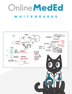 OnlineMedEd Step 2 whiteboard