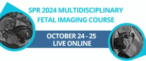 SPR fetal imaging course 2024