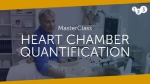 123sonography Masterclass Heart Chamber Quantification