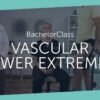123sonography Vascular Lower Extremity Bachelorclass