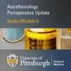 Regional Anesthesia Review 2020 Update Guide