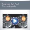 Advanced Early Fetal Echocardiography