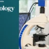 Harvard Dermatopathology Update Guide (2025)