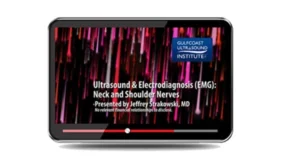 Neck and Shoulder Nerves Ultrasound EMG 2022 Guide
