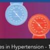 Challenges in Hypertension 2024