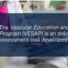Vascular Education and Self-assessment Program VESAP6