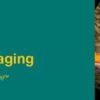 Noninvasive Vascular Imaging 2019