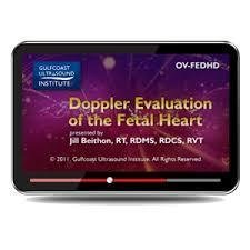 Gulfcoast Doppler Evaluation of The Fetal