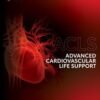 Critical Care Video Course 113