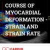Morcerf Course of Myocardial Deformation Strain
