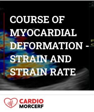 Morcerf Course of Myocardial Deformation Strain