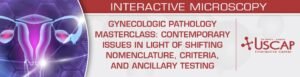 USCAP Gynecologic Pathology Masterclass: Contemporary Issues in Light of Shifting Nomenclature, Criteria, and Ancillary Testing 2026