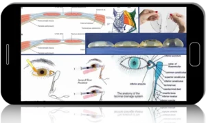 Contemporary Principles and Techniques in Advanced Plastic and Reconstructive Surgery