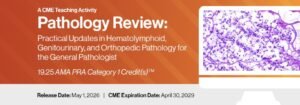 2026 Pathology Review: Practical Updates in Hematolymphoid, Genitourinary, and Orthopedic Pathology for the General Pathologist