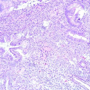 Oakstone Gynecologic Pathology 2026