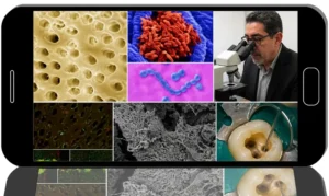 Deep Dive Endodontics: Evidence, Histology, and Practice