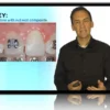 Pediatric Dentistry: Essentials and Trauma Management